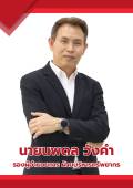 รองนพดล